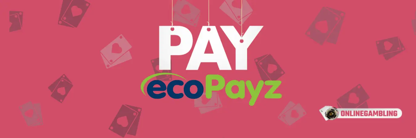 ecoPayz Work
