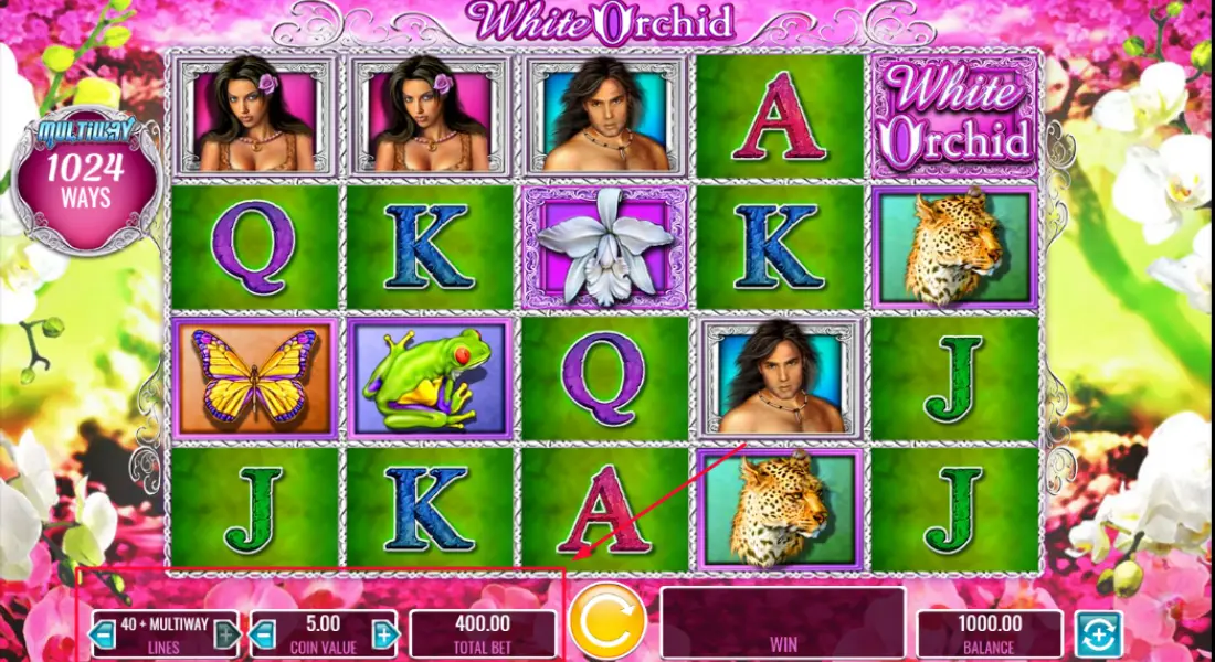 white orchid slot bet