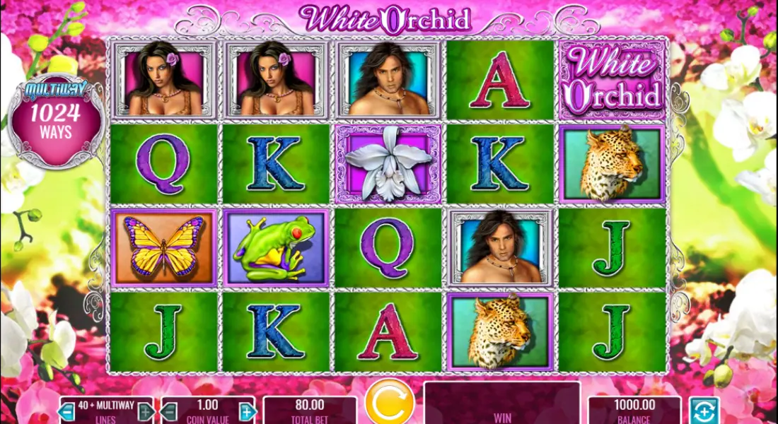 white orchid slot main